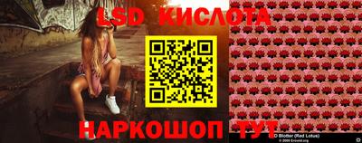 дживик Тара