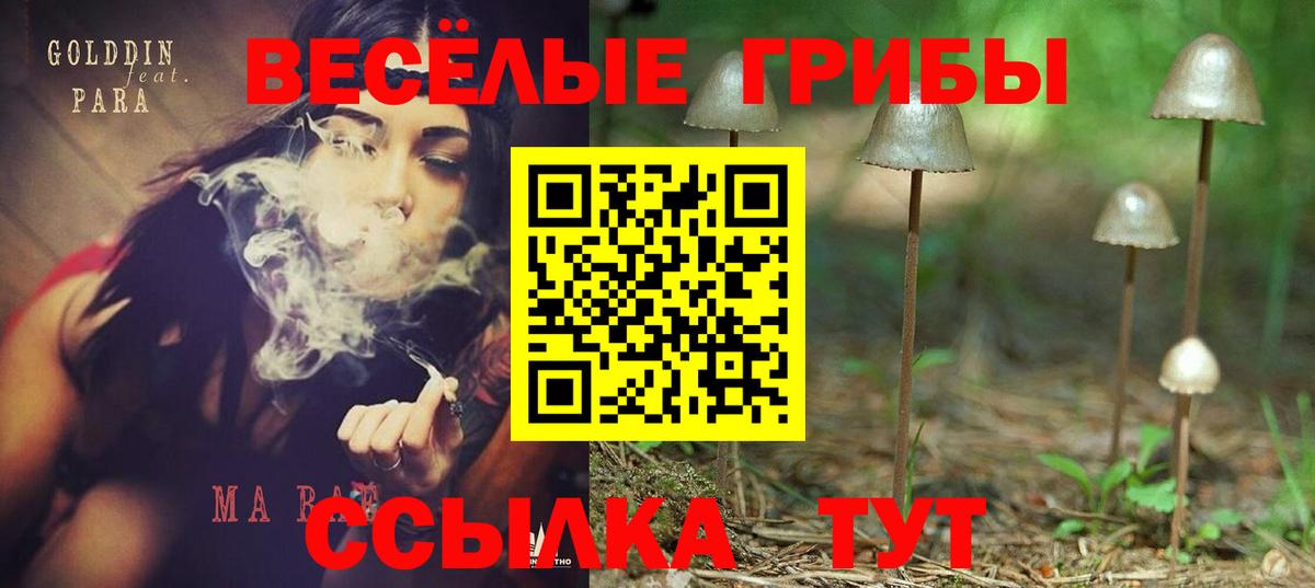 Псилоцибиновые грибы Psilocybine cubensis  Псилоцибиновые грибы Psilocybine cubensis  Муром  продажа наркотиков  Вход с VPN 